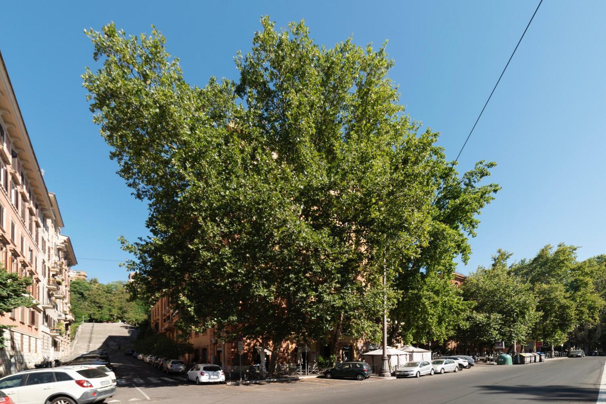 Piazza Nievo A Trastevere Cozy Apartamento